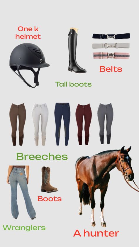 Equestrian wishlist Horse Riding Clothes, Riding Outfit, Horse Riding, Equestrian, Horses