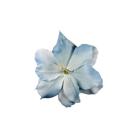 Flower Clip | Blue Assorted Flowers Large (5-5.5 inch) Alligator Hair... (510 UYU) ❤ liked on Polyvore featuring flowers, fillers, blue fillers, blue, flower fillers, backgrounds and effect Flower Fillers, Assorted Flowers, Beach Icon, Flower Icons, Summer Icon, Tropical Resort, Phone Layout, Resort Fashion, Nothing But Flowers