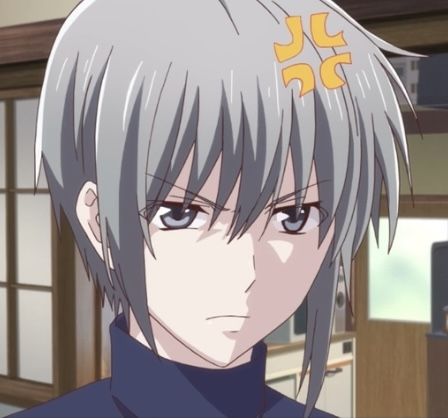 Fruits Basket Icon, Yuki Sohma, Fruits Basket, Fruit Basket, Grey Hair, Aesthetic Anime, Fruit, Grey, Hair