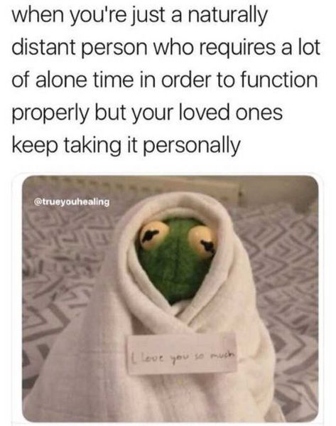 101 I Love You Memes - "When you're just a naturally distant person who requires a lot of alone time in order to function properly but your loved ones keep taking it personally." Sapo Meme, Love You Meme, Kermit Funny, Introvert Humor, Alone Time, L Love You, Memes Humor, Komik Internet Fenomenleri, Really Funny Memes