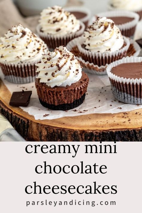 Mini Chocolate Chip Desserts, Chocolate Cheesecake Mini, No Bake Mini Chocolate Cheesecake, Mini Chocolate Desserts, Mini Chocolate Pie, Mini Chocolate Cheesecakes, Chocolate Cheesecake Cupcakes, Mini No Bake Cheesecake, Cook Desserts