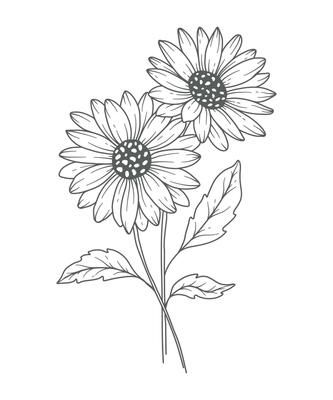 Daisy Flower Outline Daisy LIne Art Line Drawing chamomile outline 3325127 Vector Art at Vecteezy Line Art Daisy, Daisy Flower Outline, Daisy Line Art, Daisy Outline, April Birth Month Flower, April Birth Month, Line Art Botanical, Daisy Flower Tattoos, Outline Illustration