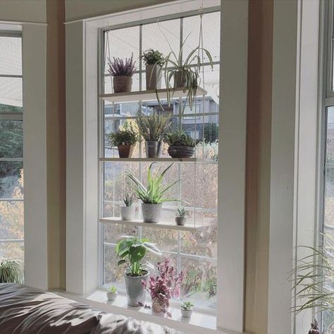 Plant Hanger Window, Window Shelf Ideas, Bay Window Plants, Shelf For Plant, Shelf In Bedroom, Window Plant Shelf, Window Shelf, Window Plants, Urban Apartment