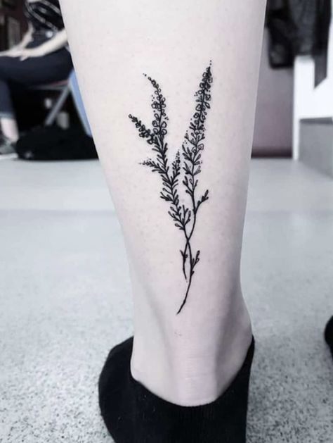 Heather Plant Tattoo, Scottish Heather Tattoo, Heather Tattoo Flower, Heather Tattoos, Heather Flower Tattoo, Vervain Tattoo, Heather Tattoo, Watermelon Tattoo, Tattoo 2023