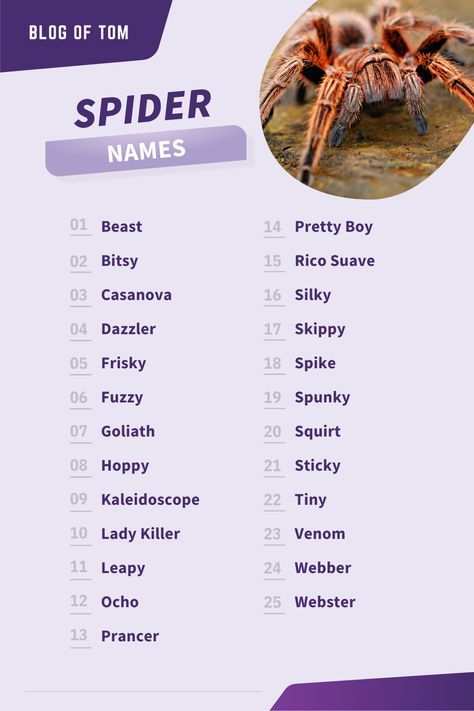 Spider Names Ideas, Spider Names, Spider Symbolism, Dark Names, Spider Baby, Jumping Spiders, Spiders Funny, Change Time, Pet Spider