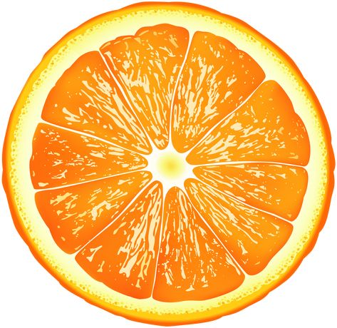 Sliced Orange Drawing, Orange Slice Illustration, Orange Slices Drawing, Orange Drawing Simple, Orange Slice Drawing, Orange Slice Painting, April Spritz, Color Markers Art, Orange Clipart