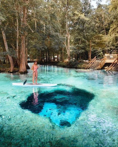 Ginnie Springs, Destination Voyage, Vacation Places, Florida Travel, Alam Yang Indah, Beautiful Places To Travel, Europe Destinations, Beautiful Places To Visit, Travel Inspo