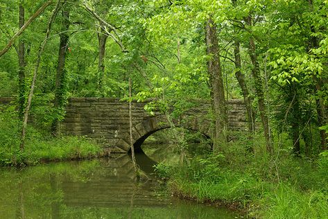 A bridge in the Battlefield. Stories say the creek ran red for days with the blood of the fallen. Over 34,000 men were killed in a 30 hour period of time. Chickamauga Battlefield, Aboriginal American, Building Bridges, Cleveland Tn, North Georgia Mountains, Civil Wars, Georgia Mountains, Miles To Go, Bridge Building