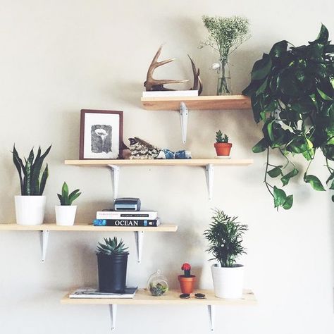 Pinterest //itsmaddilove Plants And Books, Floating Shelves Bedroom, Wall Shelves Bedroom, Decor Ikea, Diy Bedroom, Floating Shelves Diy, Room Shelves, Bedroom Plants, Bookshelves Diy