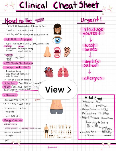 Lemon8 · Head To Toe Assessment  · @Monicaaa Neurovascular Assessment Nursing, Abdomen Assessment Nursing, Abdominal Assessment Nursing, Head To Toe Assessment Cheat Sheet, Head To Toe Assessment Nursing, Health Assessment Nursing, Assessment Nursing, Nursing Math, Nursing School Studying Cheat Sheets