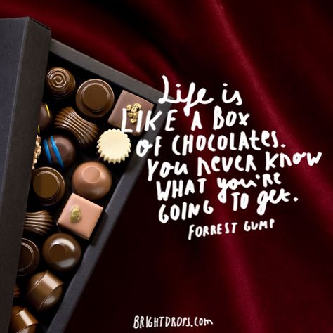 “Life is like a box of chocolates. You never know what you’re going to get.” ~ Forrest Gump Life Is Like A Box Of Chocolates, Chocolate Quotes Cute, Quotes For Chocolate Lovers, Quotes About Chocolate, Life Is Like A Box Of Chocolates Quote, I Want Chocolate Quotes, Funny Chocolate Quotes, Chocolate Lovers Quotes, Sweet Life Quotes