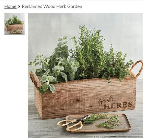 Wood Herb Garden, Window In Kitchen, Herb Box, Harry & David, In Kitchen, Wood Box, 80 Years, Herb Garden, Wood Boxes