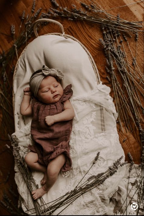 Snuggle Me Organic Photography, Unique Newborn Photos, Newborn Photos Basket, Organic Newborn Photography, Cottagecore Newborn Photos, Baby In Basket Pictures, Moody Newborn Photography, Newborn Basket Pictures, Boho Newborn Photography