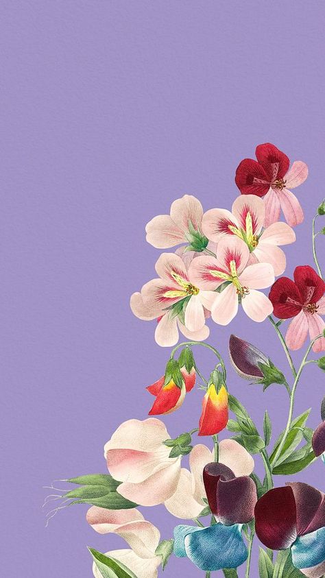 Sweet Pea Illustration, Pea Illustration, Android Wallpaper Art, Wallpapers For Mobile Phones, Flower Mobile, Flowers Illustration, Png Aesthetic, Aesthetic Flower, Background Watercolor