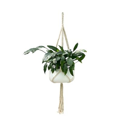 Plant Hooks at Lowes.com Christian Room, Plant Containers, Plant Hooks, White Plants, Allen Roth, Room Idea, Fake Plants, Diy Home Decor Projects, Balcony Garden