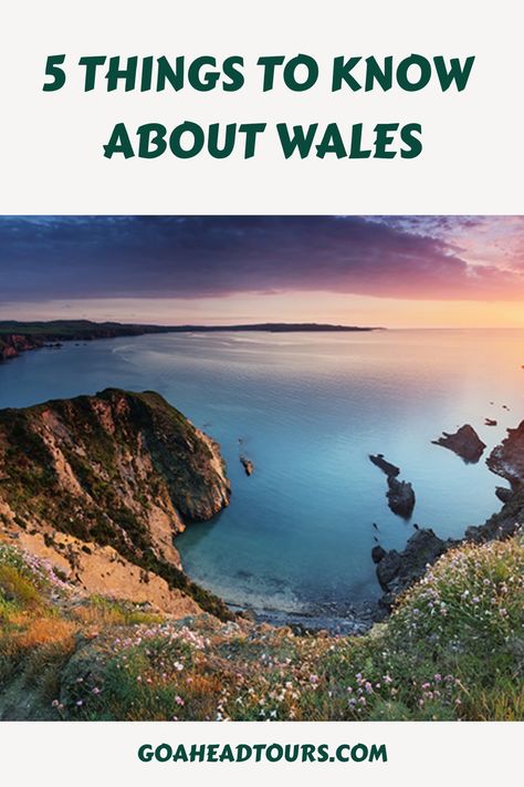 Traveling to Wales soon? We’ve outlined five interesting things to know about Wales before you go. Interesting Things To Know, Prince Of England, Subject And Predicate, Visit Wales, United Kingdom Travel, Irish Sea, Travel Safety, Travel App, Travel Deals