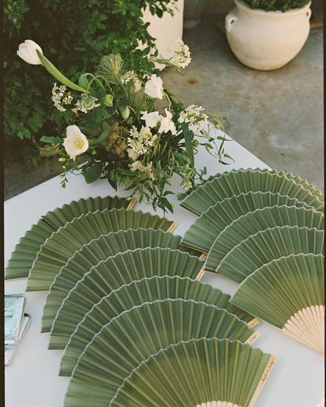 K&C fallbrook, california 🏹 still at a loss for words at how stunning & peaceful this wedding day was! so grateful for your vision and trust, @kriscloud & @itscarlossanchez !! incredible images by my dear friend, @lizrudman 🕊️ Thank you vendors!! Venue: @jeuneperche Planning & Design: @thismodernbride_ Photo & Video: @lizrudman @johnwstambaugh Content Creation: @katecorpcc Florals: @palomafloral Makeup: @makeupbysofiarose Stationary: @royalsolcreative Signage: @typeandtrim Catering:... Lilac Tropical Wedding, Green Antique Aesthetic, Tulum Wedding Florals, Jungle Wedding Flowers, Subtle Tropical Wedding, Wedding Theme Tropical, Minimalist Luxury Wedding, Summer Wedding Colors Green, Palm Beach Wedding Aesthetic