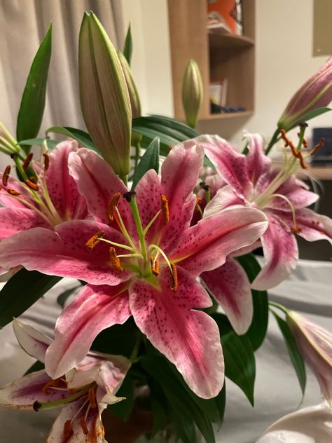 Star Lilly, Bouquet In Vase, Fav Flower, Plants Are Friends, Lily Bouquet, Stargazer Lily, Balcony Plants, Boquette Flowers, Roses Red