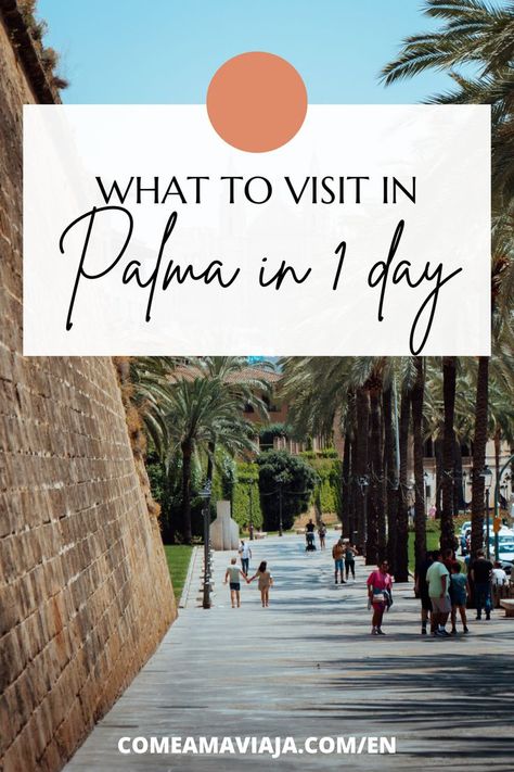 Palma in 1 day Palma Majorca Spain, Virgin Cruises, Backpacking Spain, Mallorca Island, European Cruises, Spanish Islands, Spain Aesthetic, Spain Culture, Cruise Europe