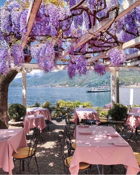 Lac Como, Bellagio Italy, Florence Hotels, Comer See, Lake Como Italy, Como Italy, Italy Vacation, Beautiful Hotels, Lake Como