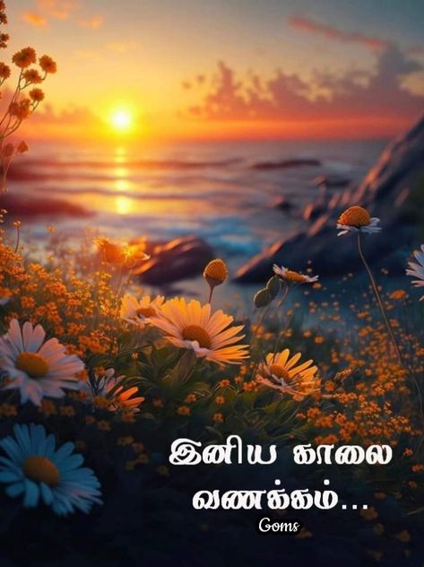 Good Morning Tamil, Tamil Wishes, Morning Nature, Good Morning Nature, Good Morning Beautiful Pictures, Good Morning Wishes Quotes, Morning Wishes Quotes, Wish Quotes, Morning Beautiful