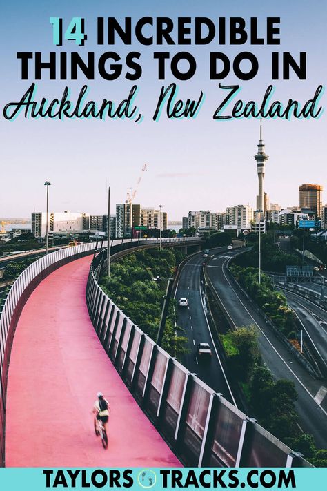 Things To Do In Auckland, Auckland Travel, Lightning Storms, Australia Queensland, New Zealand Itinerary, New Zealand Travel Guide, Moving To New Zealand, Living In New Zealand, Oceania Travel