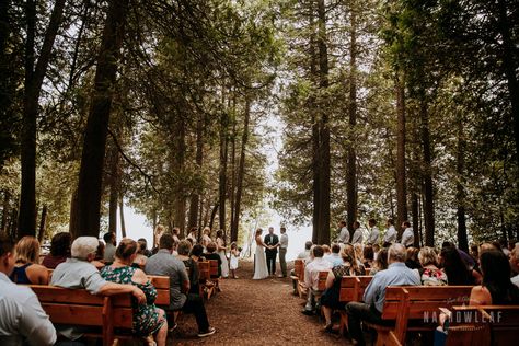 A wedding ceremony in the woods of Whitefish Dunes State Park. Michigan State Parks, State Park Wedding, Door County Wisconsin, Door County, Dc Wedding, Adventure Photography, Park Wedding, County Wedding, Dc Weddings