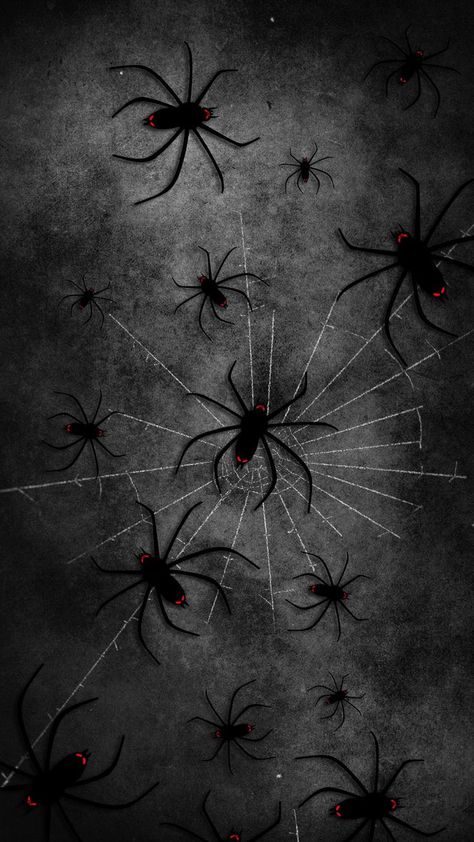 2000s Background, Victoria Secret Perfume Body Spray, 2000s Wallpaper, Creepy Backgrounds, Spiders Scary, Architecture Wallpaper, Cover Wallpaper, Halloween Wallpaper Iphone, Skull Wallpaper