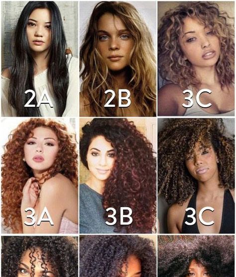 Human are born with either natural curly hair, or straight hair, or wavy hair. The number of disulfide bonds between hair proteins is the ca... Curly Hair Center Part, Hair Center Part, Natural Curly Hair, Curly Hair Photos, Hair Protein, Types Of Hair, Center Part, Crochet Hair Styles, Curly Hair Styles Naturally