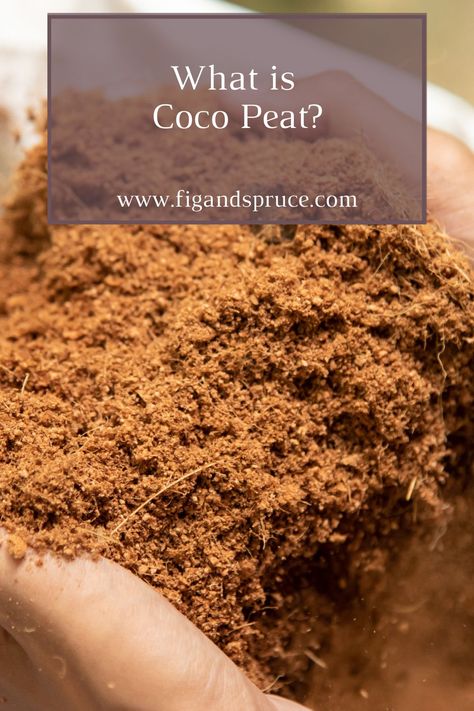 Learn about coco peat and the different applications and benefits of using it in gardening! Aura Verde, Coco Peat, Peat Soil, Sell Old Coins, Beginner Gardening, Dark Black Wallpaper, Bangles Design, Hydroponic Gardening, Draw On Photos