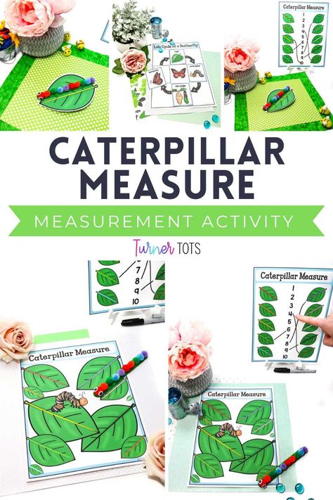 Nurture early math and fine motor skills with a touch of nature. Caterpillar Measure is the perfect addition to your insect-themed lesson plans! For this activity, leaves are designed to be measured by pompom caterpillar rulers. Measuring each caterpillar provides a tactile way to incorporate non-standard measurement into your math centers. Bug Math Activities, Pompom Caterpillar, Insect Preschool, Turner Tots, Preschool Math Lessons, Math Activities For Preschoolers, Insects Preschool, Insect Activities, Addition Activities