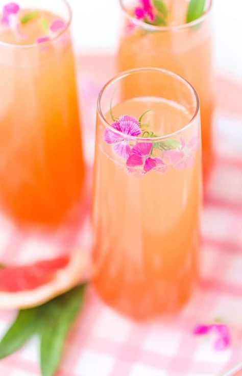 Prosecco Vodka Punch, Champagne Punch Recipes, Bridal Shower Punch, Fruity Party, Brunch Punch, Citrus Party, Bridal Shower Drinks, Citrus Drinks, Yummy Summer Cocktails