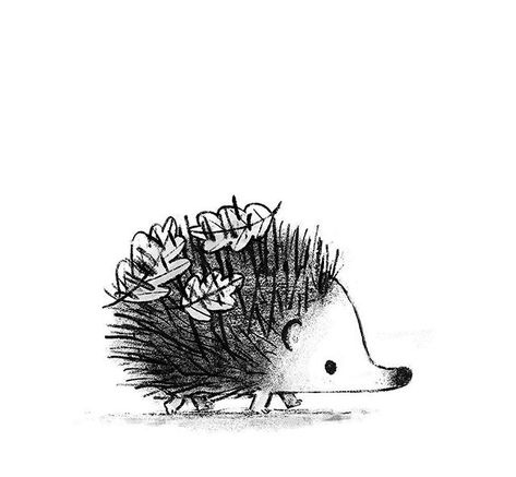 Hodgeheg . #illustration #sketch #artist #art #drawing #characterdesign #instaartist #design #kidlitart #childrensbook #picturebook… Stylised Animals, Children's Wallpaper, Hedgehog Tattoo, Hedgehog Drawing, Hedgehog Illustration, Book Poster, Hedgehog Art, Cute Hedgehog, Watercolor Flowers Paintings