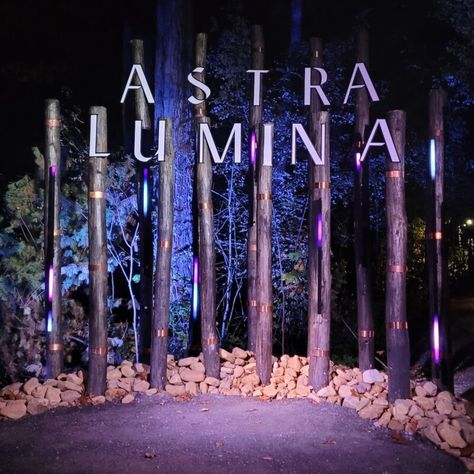 Why Anakeesta's Astra Lumina Is An Unforgettable Experience | TravelAwaits Couples Hold Hands, Astra Lumina, Hold Hands, Architecture Ideas, Car Museum, Smoky Mountain National Park, Look At The Stars, Ski Lift, To Touch