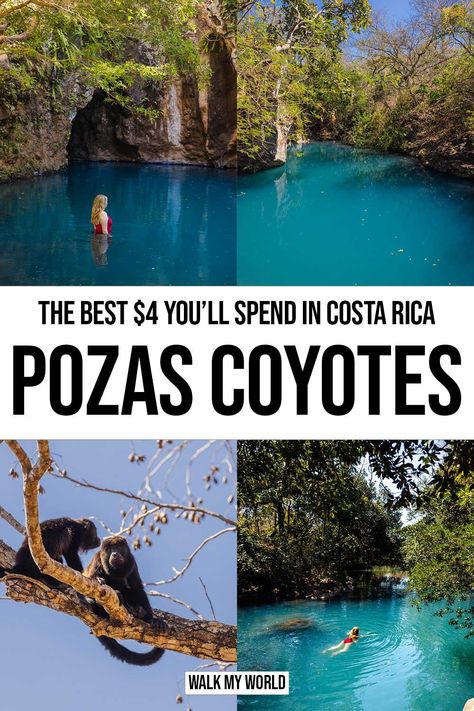 Poza Los Coyotes: the best $4 you could possibly spend in Costa Rica — Walk My World Puerto Jimenez Costa Rica, Quepos Costa Rica Things To Do, Horseback Riding Costa Rica, Costa Rica Quepos, Cost Rica, Costa Rica Off The Beaten Path, Costa Rico, River Style, Costa Rica Osa Peninsula