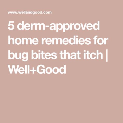 5 derm-approved home remedies for bug bites that itch | Well+Good Remedies For Bug Bites, Itchy Bug Bites, Remedies For Mosquito Bites, Bug Bites Remedies, Calamine Lotion, Bug Bite, Oatmeal Bath, Itch Relief, Mosquito Bite