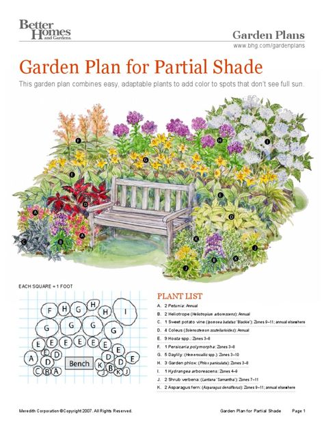 Beginner Garden, Flower Garden Layouts, Perennial Garden Plans, Shade Garden Design, Flower Garden Plans, Butterfly Garden Design, Driveway Ideas, Garden Plan, Front Yard Garden Design