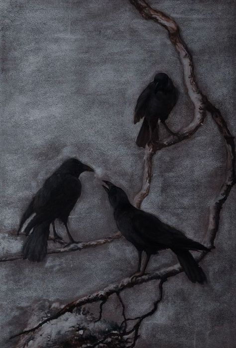 Leta Lestrange, Black Birds, Crows Ravens, The Brave, Gothic Art, Pics Art, Fantastic Beasts, Dark Art, Aesthetic Art