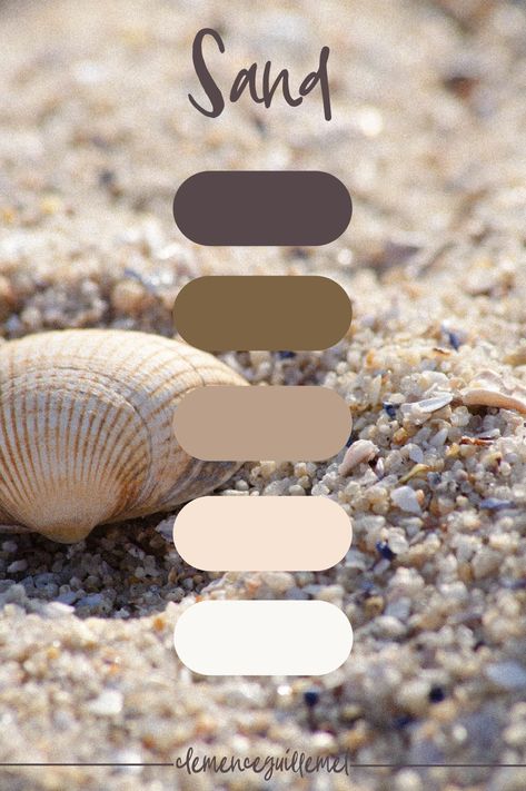 Sand Dune Color Palette, Sand Color Pallete, Sahara Color Palette, Sandstone Color Palette, Color Palette Sand, Seashell Color Palette, Sand And Stone Color Palette, Sand Colour Palette, Sand Color Palette