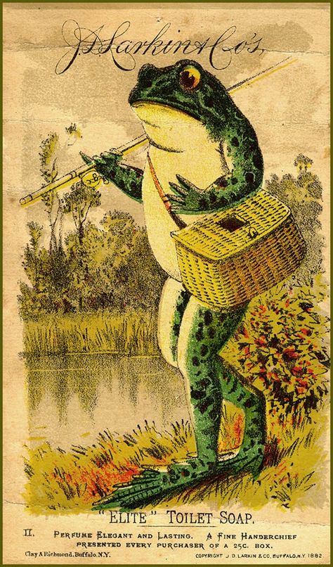 Animal illustrations | Free Vintage Illustrations Vintage Illustrations, A Frog, The Grass, Public Domain, Fishing, Illustrations, Art