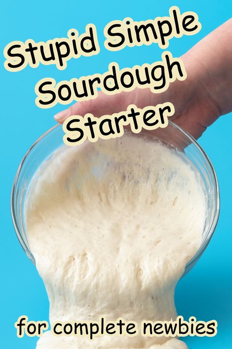 How To Make A Starter For Sour Dough Bread, How To Start A Bread Starter, 1 Day Sourdough Starter, How To Make A Bread Starter, Diy Bread Starter, Starting Sourdough From Scratch, Making Your Own Sourdough Starter, Sourdough Starter And Bread Recipe, Sourdough Starter Bread Flour