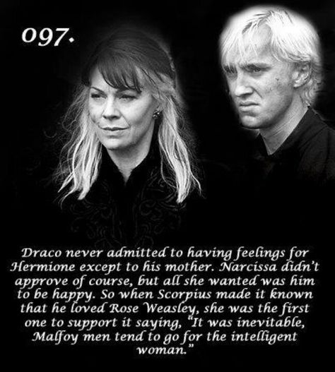 Maybe Dramione shippers are on to something and AVPM actually hit on the truth of Draco's existence. Description from pinterest.com. I searched for this on bing.com/images Rose Granger Weasley Fanart, Rose Weasley, Scorpius And Rose, Headcanon Harry Potter, Hp Quotes, British Slang, Citate Harry Potter, Images Harry Potter, Potter Facts