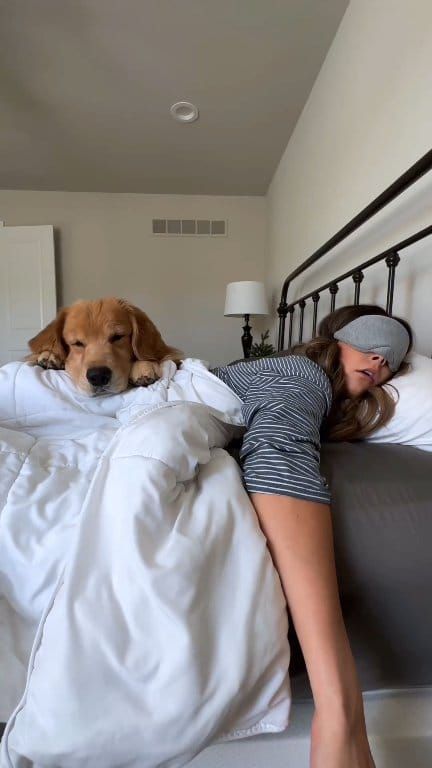 The day I almost died 💀 | Tucker Budzyn | Tucker Budzyn · Original audio Tucker Budzyn, Cute Puppies, Welcome Back, Golden Retriever, Around The World, The Day, Audio, Puppies, Humor