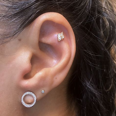 Outer conch or flat helix piercing. BVLA jewlery. Flat Piercing Hoop, Cute Flat Piercings, Flat Helix Piercing Studs, Piercings Flat Ear, Gold Flat Piercing, Ear Piercing Flat Ideas, Flat Helix Piercing Ideas, Flat Piercing Ears, Flat Cartilage Piercing