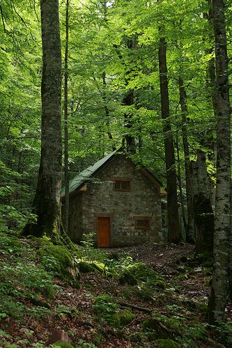 stone cottage in the forest Cottage In The Forest, Stone Cabin, Little Cabin In The Woods, Stone Cottages, Cottage Cabin, Cottage In The Woods, Little Cabin, Stone Cottage, Small Cabin