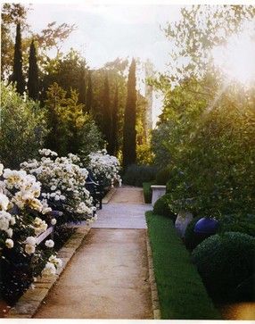 Contemporary Rose Garden Outdoor Design Ideas, Pictures, Remodel and Decor Santa Barbara Style, Formal Gardens, White Gardens, Gorgeous Gardens, Landscape Pictures, Back Garden, Green Grass, Rose Garden, Outdoor Design