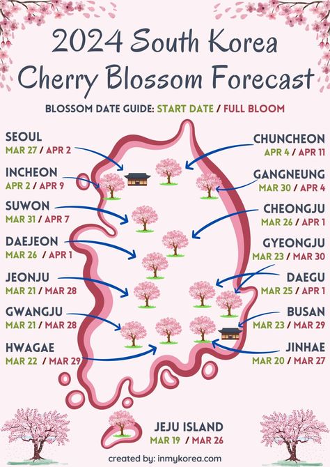 Where To See Cherry Blossoms In Korea 2024: Seoul And Beyond South Korea Cherry Blossoms, Seoul Travel, Gyeongju, South Korea Travel, Cherry Blossom Season, Travel Savings, Spring Trip, Korea Travel, South America Travel