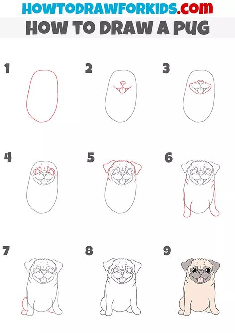 How to Draw a Pug - Easy Drawing Tutorial For Kids Drawing A Pug Step By Step, Kawaii Pug Drawing, How To Draw A Pug Step By Step, Draw A Pug, Pug Drawing Easy, Pug Cartoon Drawing, Pug Drawing Sketches, How To Draw A Pug, Pug Doodle