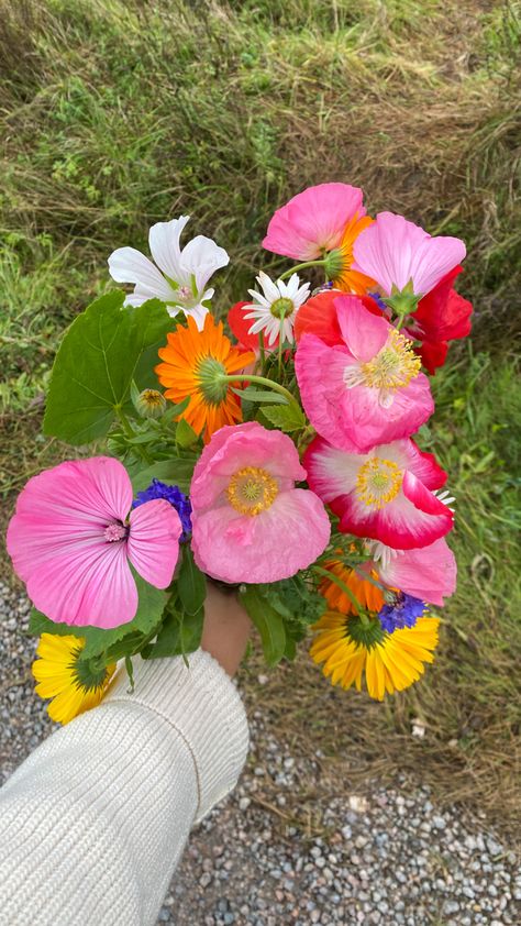 Handpicked flowers, u pick, colorful flowers, pretty flowers, colorful bouquet Handpicked Flowers, Picked Wild Flowers, Picking Wildflowers, Wildflowers Of Colorado, Snow In Summer Flower, Hand Picked, Colorful Bouquet, Appreciation Post, Season 3