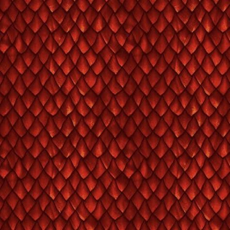 Dragon Skin Texture, Dragon Texture, Scale Armor, Dragon Skin, Dragon Scales, Scale Fabric, World Of Fantasy, Dragon Scale, Scale Design